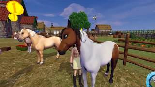 Finally Buying a Chinpony D Star Stable [upl. by Riebling782]