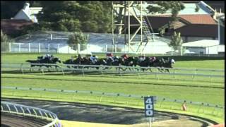 2006  Doncaster Handicap  Racing To Win [upl. by Ranite]