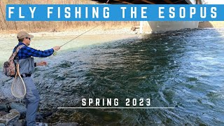 Fly fishing the Esopus Spring 2023 [upl. by Shamrao]