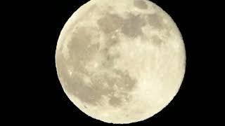 Heute Superzoom Panasonic Vollmond Kalender Wann ist der nächste Vollmond Freitag 15 November 2024 [upl. by Resa694]