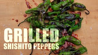 Grilled Shishito Peppers [upl. by Clorinda]