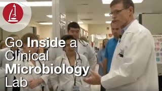 Go Inside a Clinical Microbiology Lab [upl. by Ynnor385]