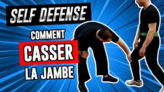 Comment casser la jambe de votre agresseur en combat de rue Self defense [upl. by Aleakcim374]