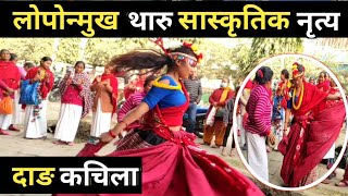 Real Tharu Culture Dang Kachila  Tharu nach  Tharu dance  Tharu Video  Tharu song tookilight [upl. by Halsy]