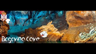 Bogovinska Pecina Bogovina Cave cave [upl. by Mosi]