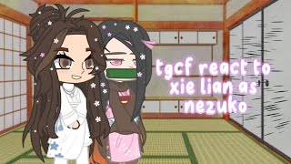 tgcf react to xie lian as nezuko special heaven officials blessing [upl. by Perlman]