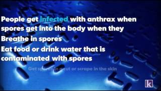 What is anthrax [upl. by Asikal16]