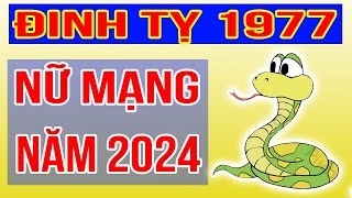 Xem Tử Vi Nữ Mạng Tuổi Đinh Tỵ 1977 Năm 2024 Giáp Thìn [upl. by Garlen]