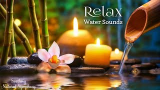 Relaxing Piano Music amp Water Sounds 247  Ideal for Stress Relief and Healing [upl. by Larianna]