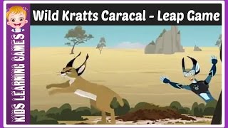 wild kratts  wild kratts caracal leap [upl. by Fontes]