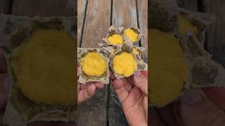 Waterproof fire starter made of wax and cotton survival lifehacks skills [upl. by Jackqueline]