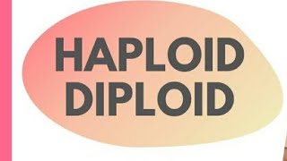 Haploid and Diploid cells Tamil Mightymedicoz [upl. by Navy97]