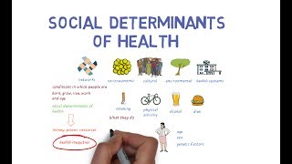 What Makes Us Healthy Understanding the Social Determinants of Health [upl. by Bornie188]