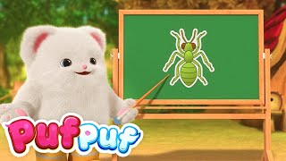 Maraton de 1 Oră de Cântece Vesele pentru Copii  Cântecul Insectelor 🦗  Cântece Educative Puf Puf [upl. by Atiekram]