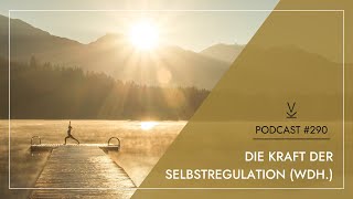 Die Kraft der Selbstregulation Wdh  Podcast 290 [upl. by Atterahs431]