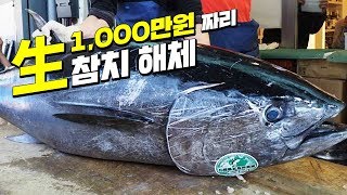 일본 츠키지 시장 생참치 해체 보고왔습니다 Bluefin Tuna Cutting Show Tokyo Tsukiji Fish Market JAPAN ENG SUB [upl. by Nolrak]