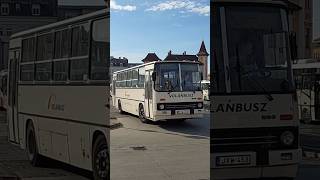 Ikarus 260 JXW453 indul Győrből győr transport volán [upl. by Wilona]