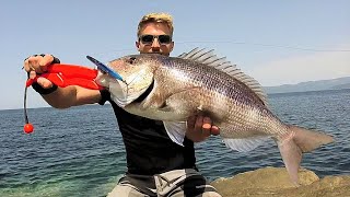 LIGHT SHORE JIGGING  Dentici corsi  Corsican snappers [upl. by Ramalahs]