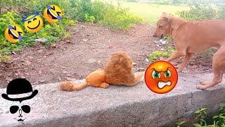 Fake Lion vs Dogs  Animal Pranks  Chitti Prank Video [upl. by Redyr]