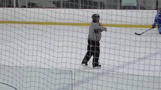 High School Hockey Archbishop Moeller vs Olentangy Berlin [upl. by Esemaj961]