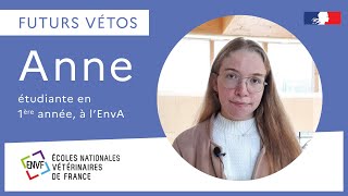 Futurs vétos  Anne raconte le concours postbac et la 1ère année vétérinaire [upl. by Mair]