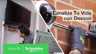 Canaletas Para Cables Dexson Soluciones Para Hogares y Oficinas  Schneider Electric Latinoamérica [upl. by Wanfried]