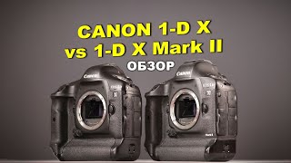 Обзор Canon 1D X vs Canon 1D X Mark II [upl. by Kassity835]