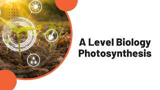 A Level Biology Photosynthesis [upl. by Etteloiv]