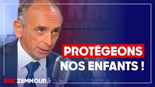 Eric Zemmour  Ma première proposition de loi [upl. by Egerton601]