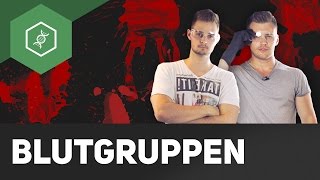 Blutgruppen bestimmen – Live Experiment [upl. by Catton]