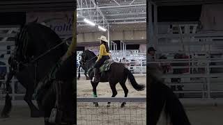 Chulada de yegua BAILADORA🐎 humor pets animals hourse hours caballos caballo expo ganadera [upl. by Mode]