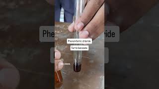 reaction of phenol with ferric chloride experiment science reels [upl. by Idnas]