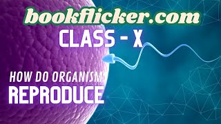 How Do Organisms Reproduce  Class X Biology for 20242025 Exams  A Complete Guide Part II of IV [upl. by Ahsinom900]