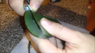 Come estrarre gel di ALOE VERA in casa [upl. by Fionna]