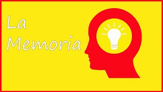 La Memoria Procesos Psicologicos basicos amnesia tipos de memorias paramnesias [upl. by Alla864]