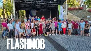 Flashmob am Binger Winzerfest 8923 [upl. by Annahpos629]