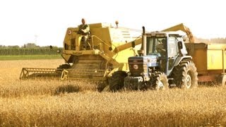 Classic Combine Week 7 New Holland Clayson M140 [upl. by Sampson]