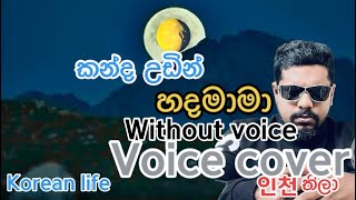 Kanda udin🌛hada mama🥹Joli seeyavoice cover인천තිලා with paaliwarnaසරංබරං [upl. by Akiria88]