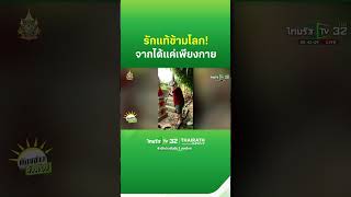 รักแท้ข้ามโลก ฝรั่งกลับมาดูแลเจดีย์เก็บอัฐิเมียทุกปี  ThairathTV [upl. by Ahtnamas]