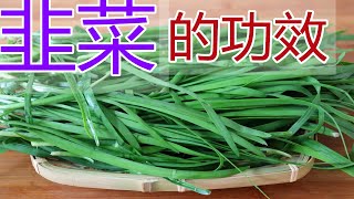 韭菜的功效和作用，韭菜食疗方法韭菜食用禁忌 [upl. by Engracia177]