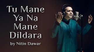 Tu Mane Ya Na Mane Dildara  Nitin Dawar  Art Of Living Music [upl. by Eirrotal]