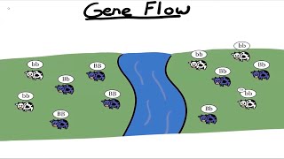 Gene Flow [upl. by Annairt]