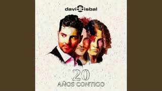 David Bisbal  En Tus Planes Cover Audio [upl. by Notrab]