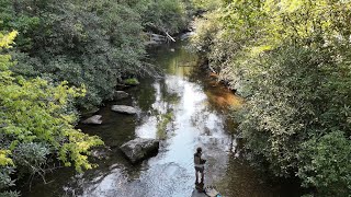 Trout Fishing the Tallulah River in Georgia [upl. by Olette]