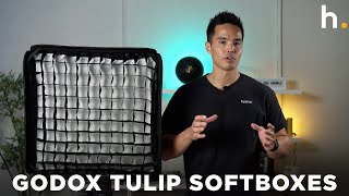 Godox Tulip Collapsible Softboxes  Unboxing amp Review [upl. by Eerak]