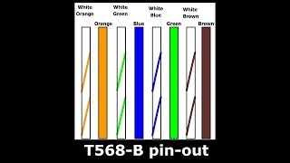 How To Replace RJ45 Network Patch Cable PLUG Cat5E DIY [upl. by Enirroc522]