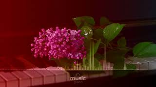 Beethoven  Moonlight Sonata 3rd Movement cover by Rousseau ∙ upmusic ∙ piano [upl. by Lucilla128]