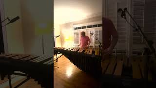 Ryan Sawyerh  Twin Peaks Theme Marimba Cover Sample [upl. by Lehcim]