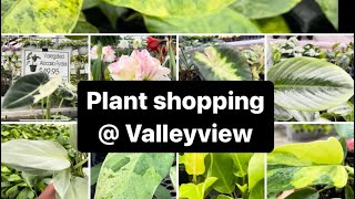 Plants shopping  Valleyview vlogmas [upl. by Oirifrop]