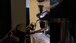 How to steam milk barista coffee coffeelatte trendingshorts latte baristalatteart coffee [upl. by Nileuqaj]